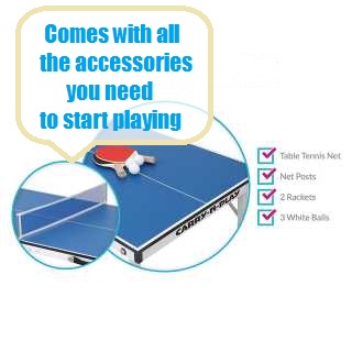 Table Tennis Table Under $100 Accessories